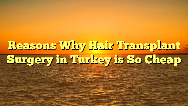 Reasons Why Hair Transplant Surgery in Turkey is So Cheap