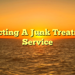 Selecting A Junk Treatment Service