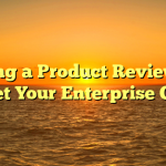 Using a Product Review to market Your Enterprise Online