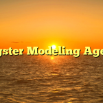 Youngster Modeling Agencies